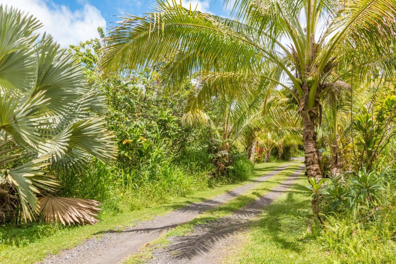 Off-Grid Getaway With Ocean Views In Paradise Pahoa 外观 照片