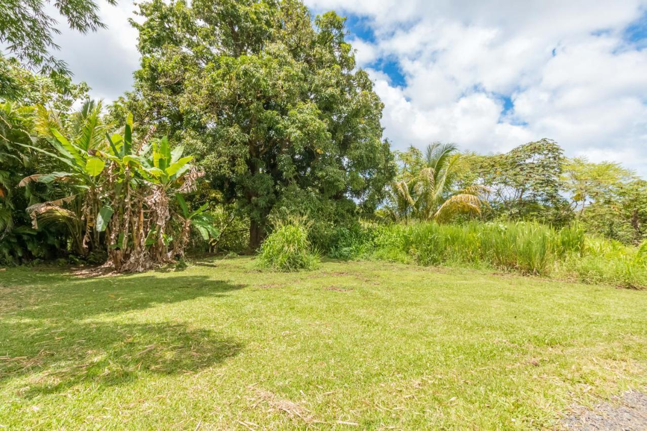 Off-Grid Getaway With Ocean Views In Paradise Pahoa 外观 照片