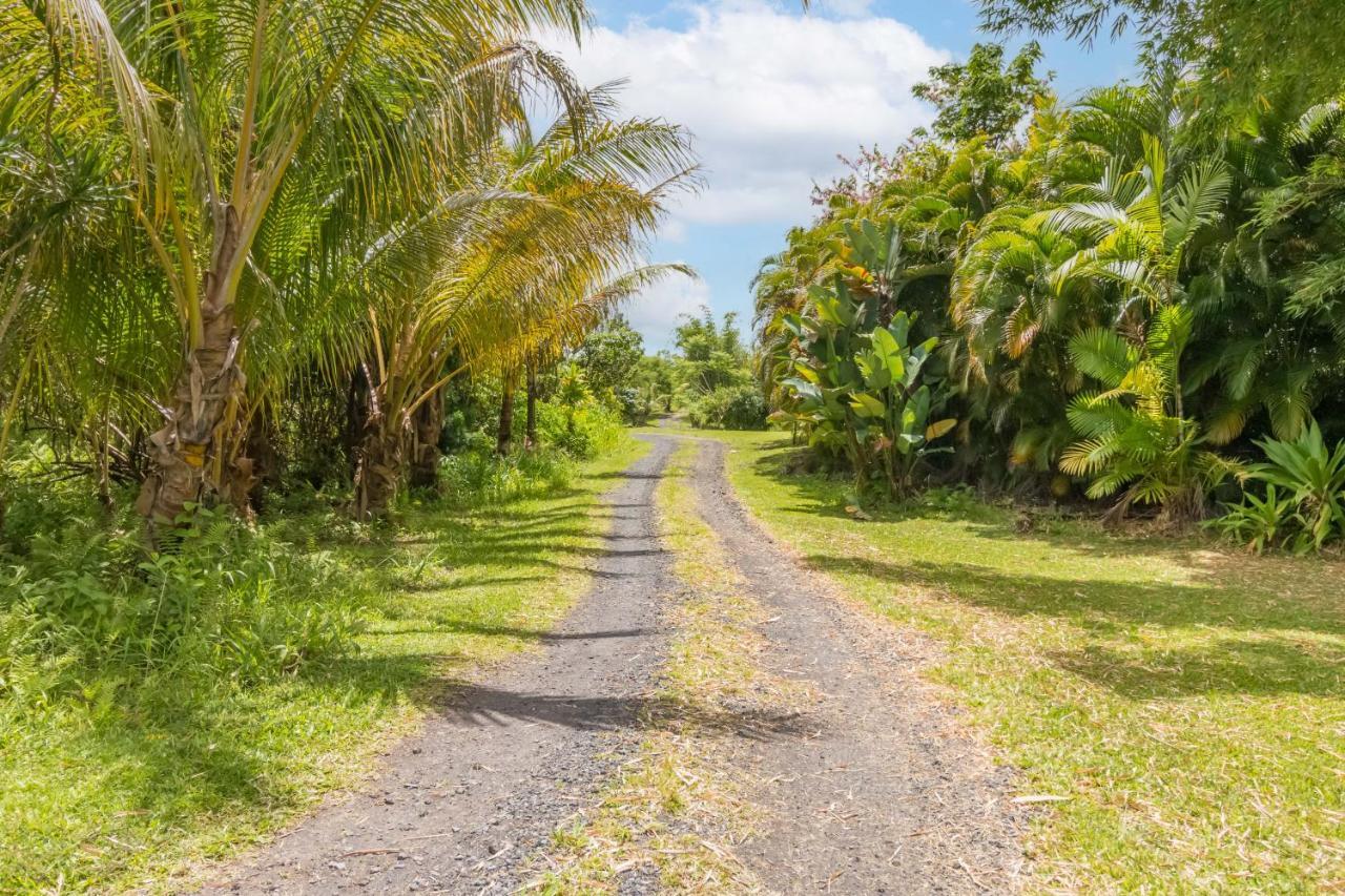Off-Grid Getaway With Ocean Views In Paradise Pahoa 外观 照片
