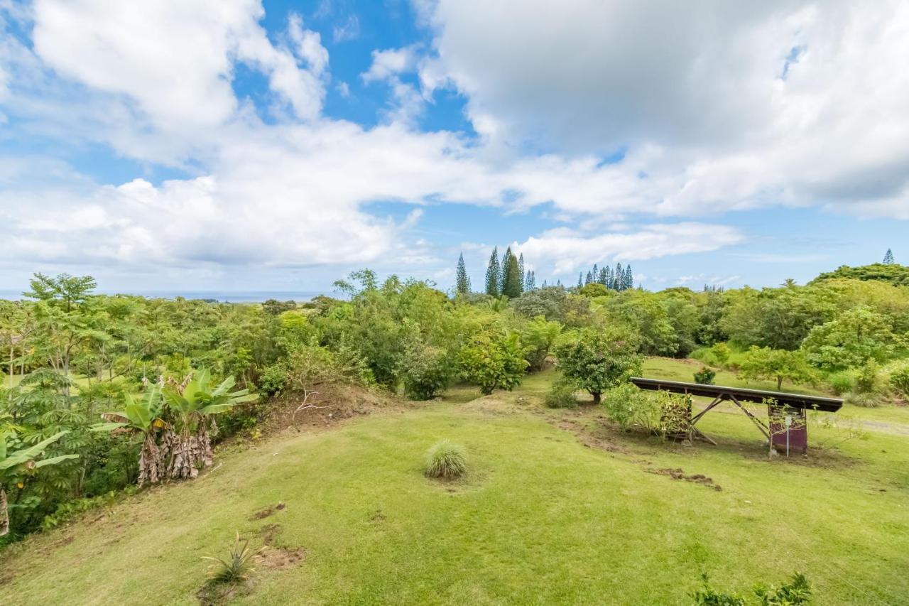 Off-Grid Getaway With Ocean Views In Paradise Pahoa 外观 照片