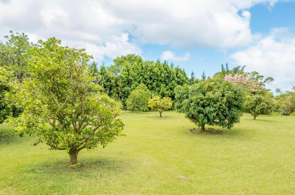Off-Grid Getaway With Ocean Views In Paradise Pahoa 外观 照片