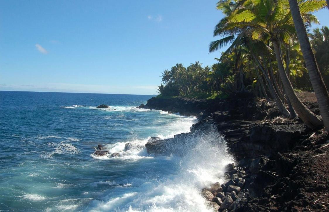 Off-Grid Getaway With Ocean Views In Paradise Pahoa 外观 照片