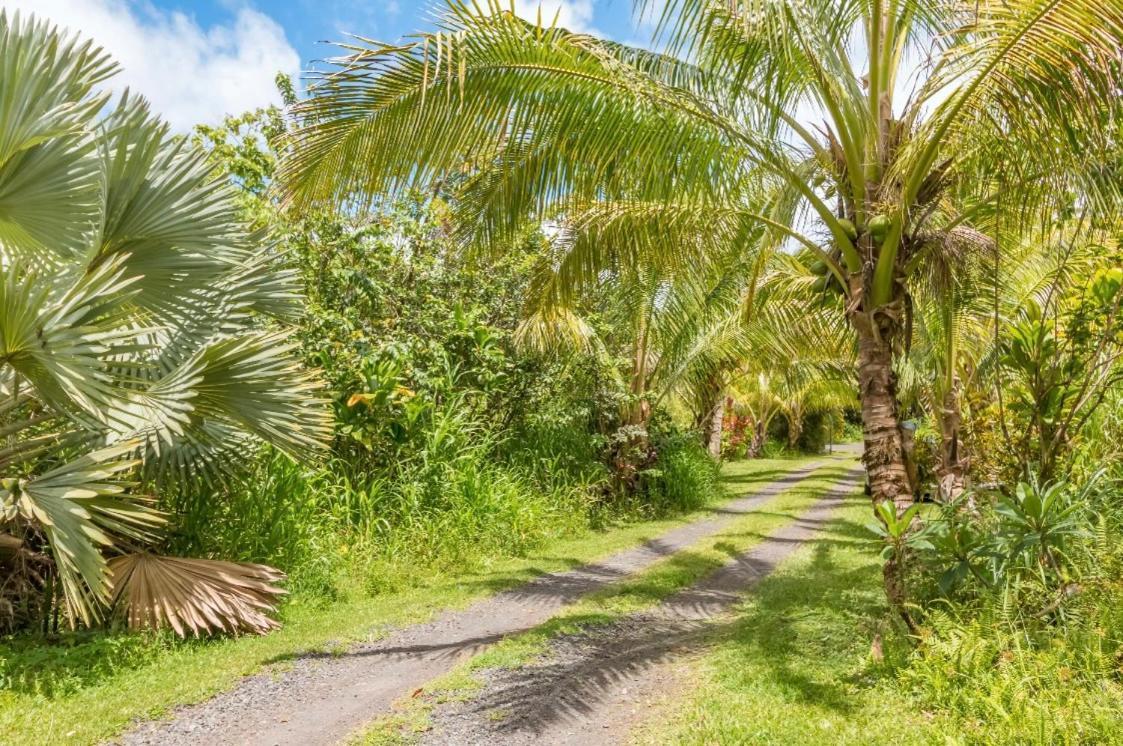 Off-Grid Getaway With Ocean Views In Paradise Pahoa 外观 照片