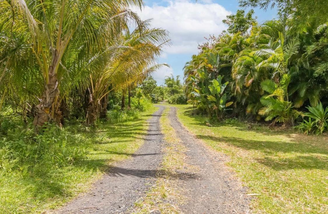 Off-Grid Getaway With Ocean Views In Paradise Pahoa 外观 照片